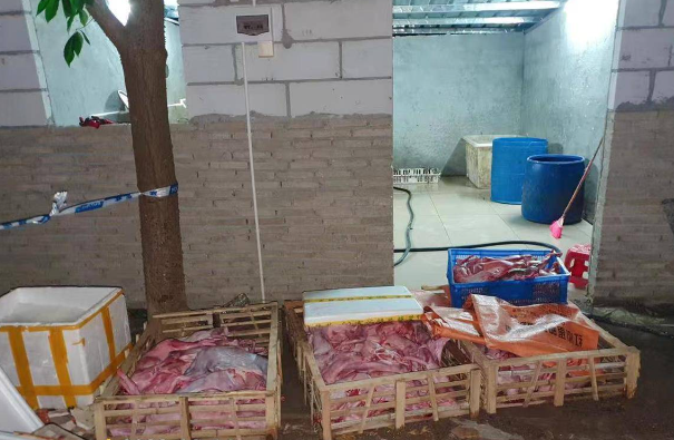 猫肉每斤4块5卖出，冒充猪羊肉，最终被制成烤串、火腿肠，当地警方果断截获千余只猫